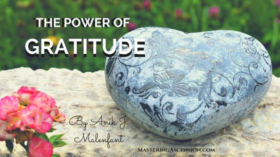 The Power of Gratitude - painted rock on a log with title text + Anik J. Malenfant
